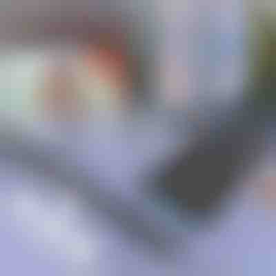 Pala de sol para carro e janela | SUNGUARD