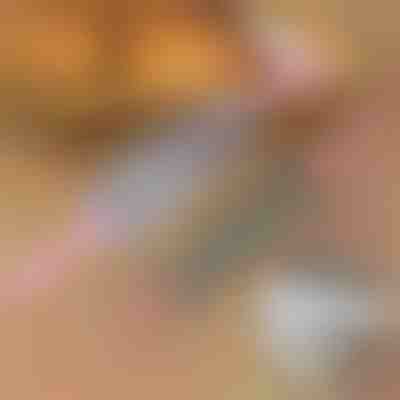 Rolo com lâmina ROLLERBLADE