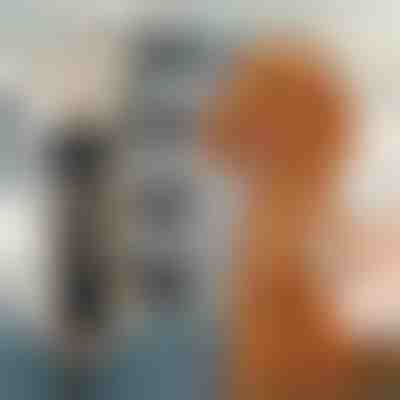 Conjunto com máquina de tosquiar para animais de estimação | GULAMACHINE