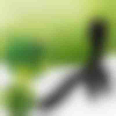 Ferramenta para remoção de ervas daninhas | ROOTNIK